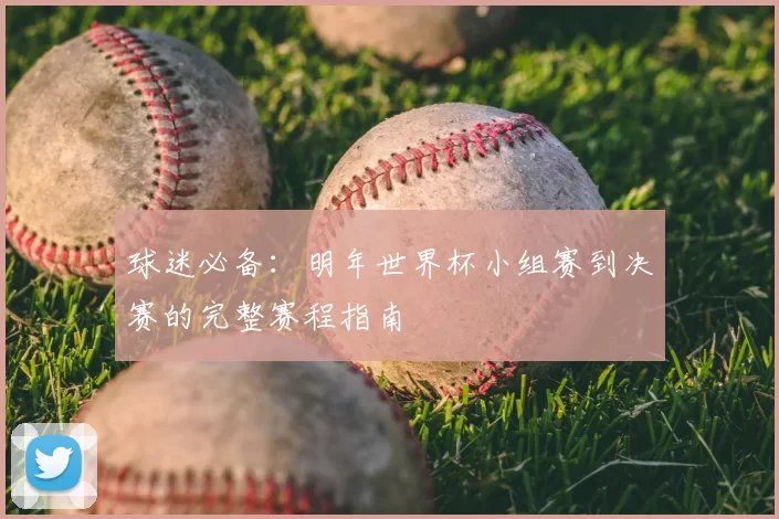 球迷必备:明年世界杯小组赛到决赛的完整赛程指南