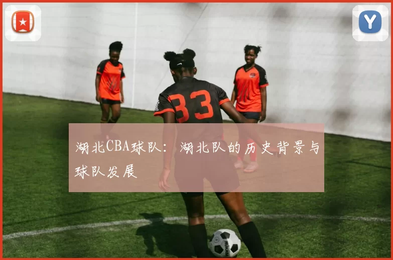 湖北CBA球队:湖北队的历史背景与球队发展