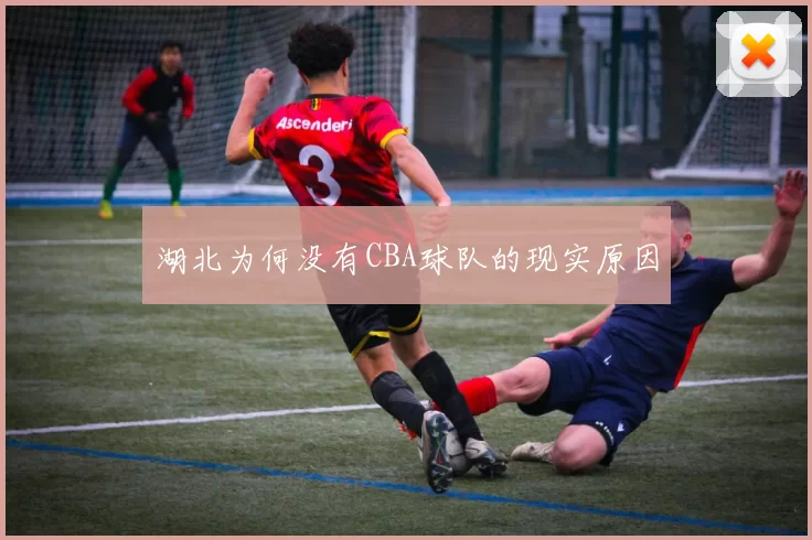 湖北为何没有CBA球队的现实原因