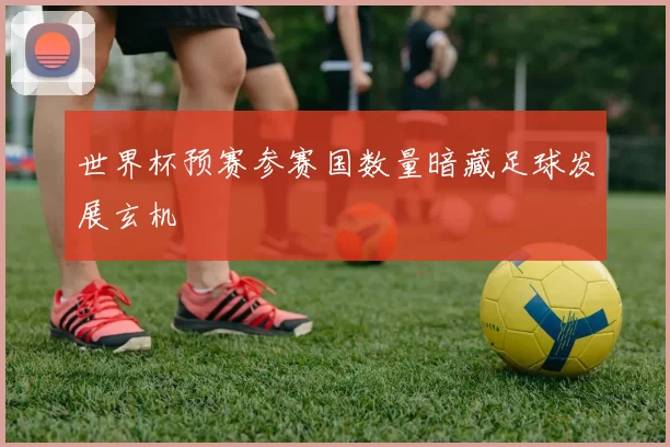 世界杯预赛参赛国数量暗藏足球发展玄机