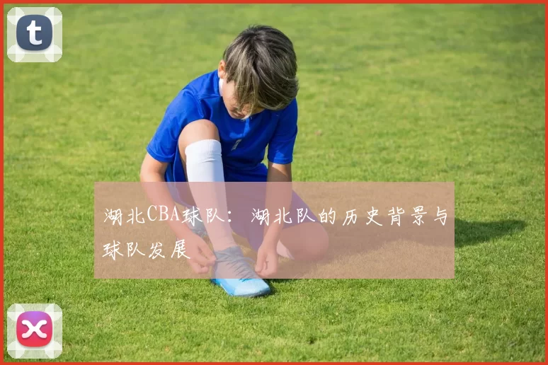 湖北CBA球队:湖北队的历史背景与球队发展