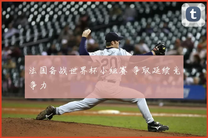 法国备战世界杯小组赛 争取延续竞争力