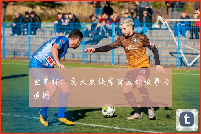 世界杯:意大利缺席背后的故事与遗憾