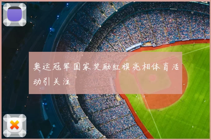 奥运冠军国家奖励红旗亮相体育活动引关注