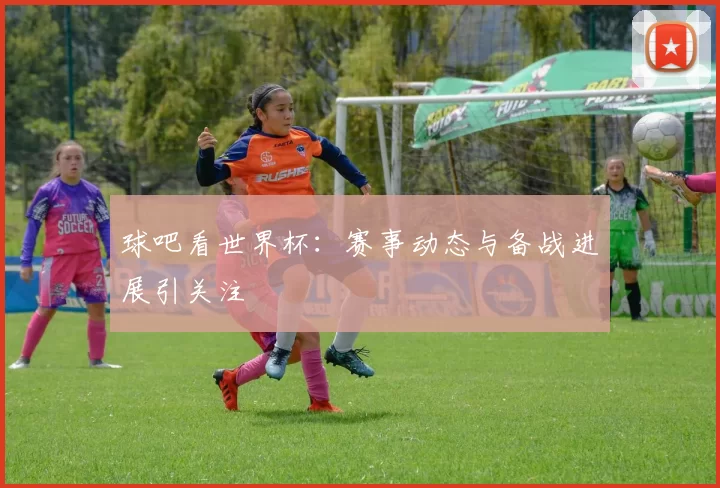 球吧看世界杯：赛事动态与备战进展引关注