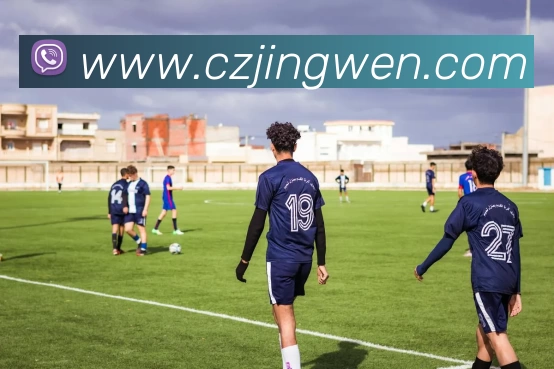 爱游戏发展历程